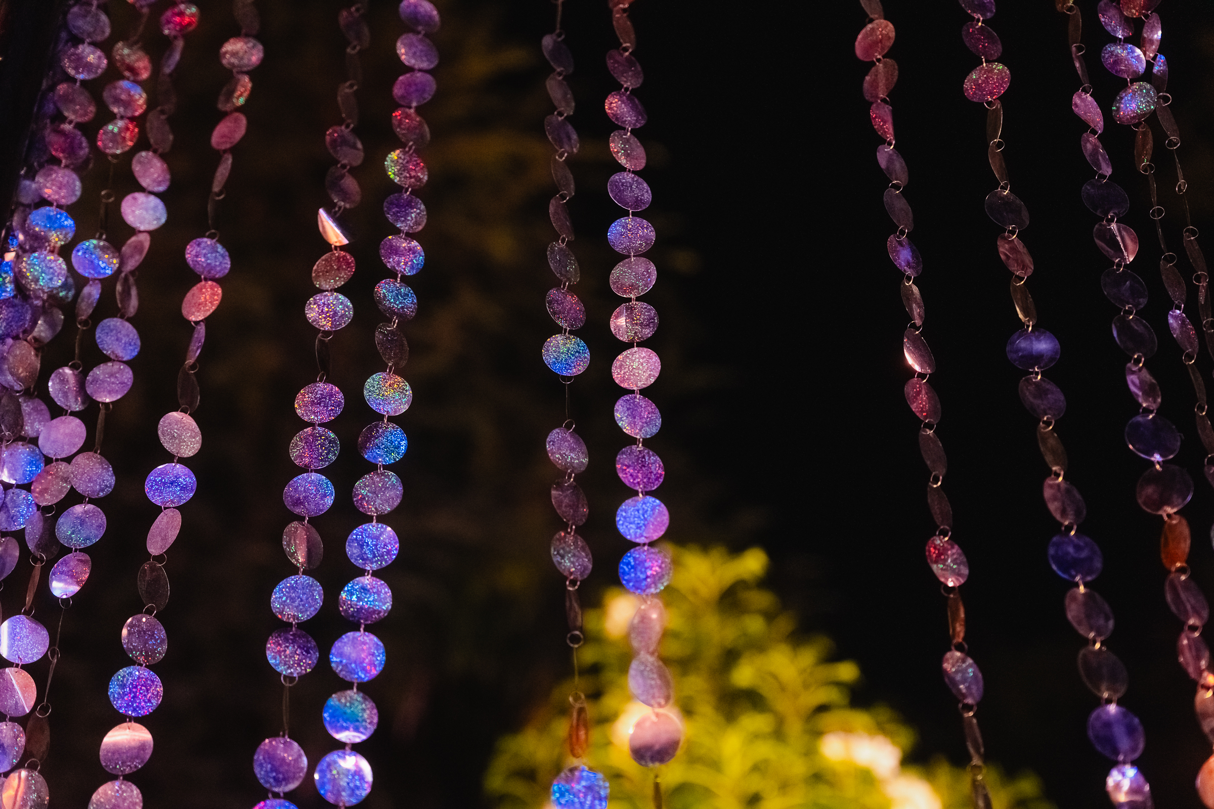 Image from Akhila Anand